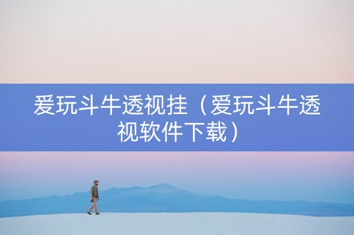 爰玩斗牛透视挂（爱玩斗牛透视软件下载）