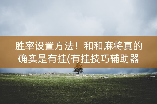 胜率设置方法！和和麻将真的确实是有挂(有挂技巧辅助器)