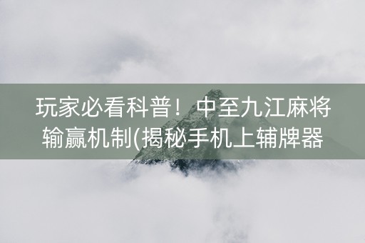 玩家必看科普！中至九江麻将输赢机制(揭秘手机上辅牌器)