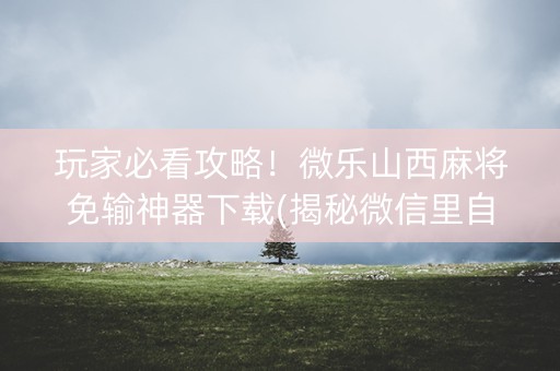 玩家必看攻略！微乐山西麻将免输神器下载(揭秘微信里自建房怎么赢)