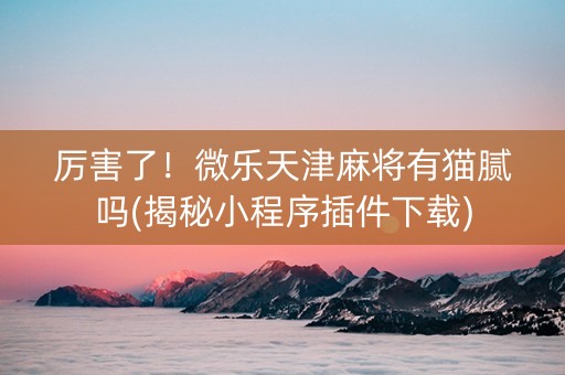厉害了！微乐天津麻将有猫腻吗(揭秘小程序插件下载)