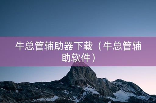 牛总管辅助器下载（牛总管辅助软件）