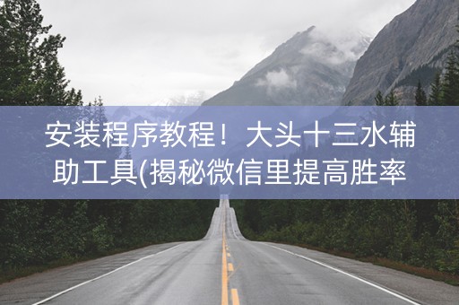 安装程序教程！大头十三水辅助工具(揭秘微信里提高胜率)