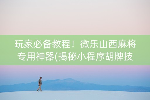 玩家必备教程！微乐山西麻将专用神器(揭秘小程序胡牌技巧)