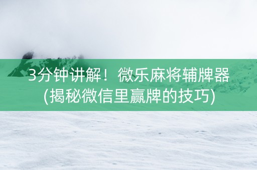 3分钟讲解！微乐麻将辅牌器(揭秘微信里赢牌的技巧)