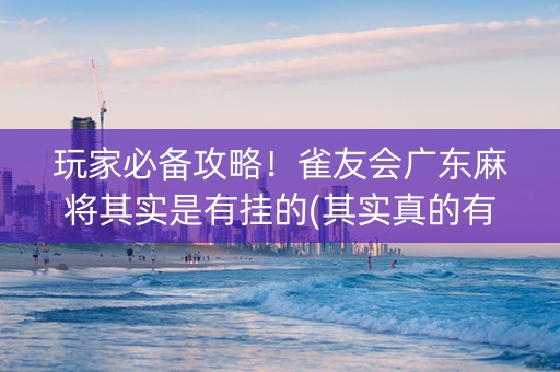 玩家必备攻略！雀友会广东麻将其实是有挂的(其实真的有挂)
