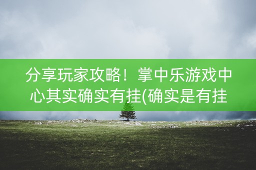 分享玩家攻略！掌中乐游戏中心其实确实有挂(确实是有挂)