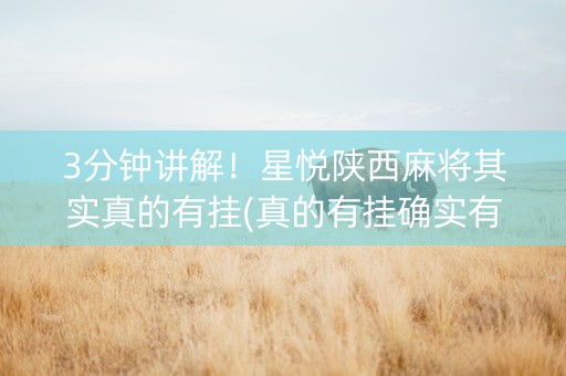 3分钟讲解！星悦陕西麻将其实真的有挂(真的有挂确实有挂)
