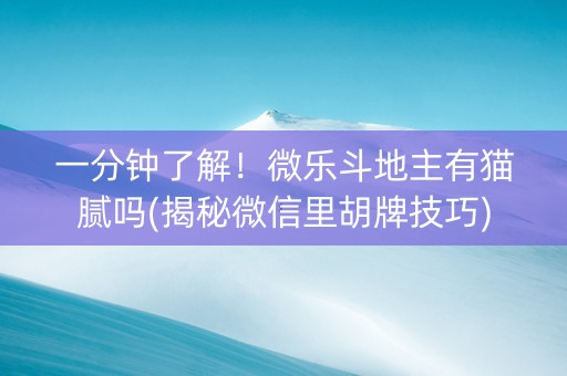 一分钟了解！微乐斗地主有猫腻吗(揭秘微信里胡牌技巧)