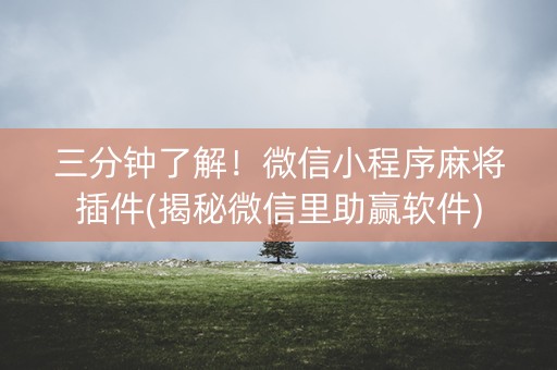 三分钟了解！微信小程序麻将插件(揭秘微信里助赢软件)