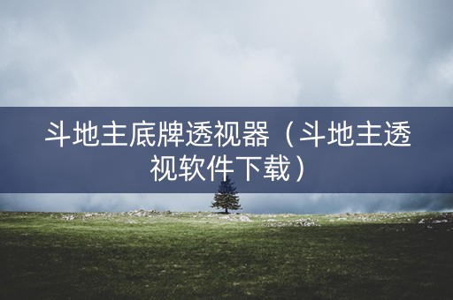 斗地主底牌透视器（斗地主透视软件下载）