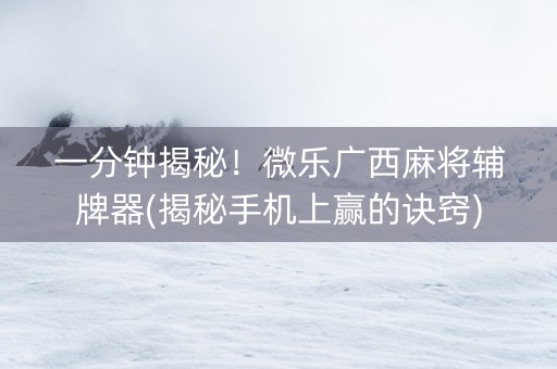 一分钟揭秘！微乐广西麻将辅牌器(揭秘手机上赢的诀窍)