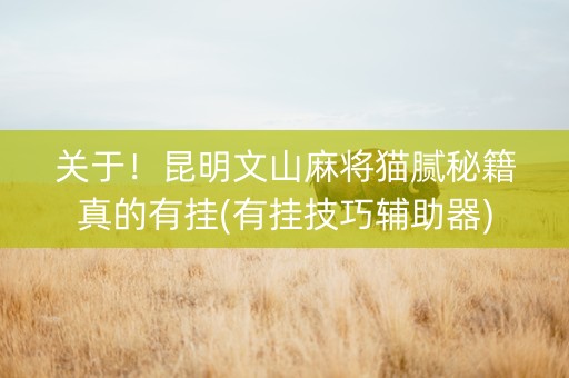 关于！昆明文山麻将猫腻秘籍真的有挂(有挂技巧辅助器)