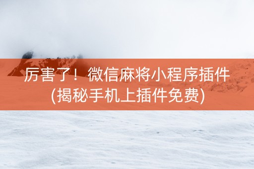 厉害了！微信麻将小程序插件(揭秘手机上插件免费)