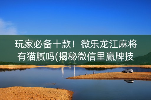 玩家必备十款！微乐龙江麻将有猫腻吗(揭秘微信里赢牌技巧)