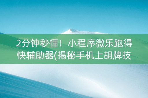2分钟秒懂！小程序微乐跑得快辅助器(揭秘手机上胡牌技巧)