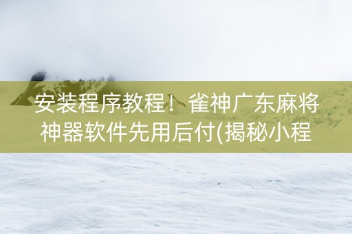 安装程序教程！雀神广东麻将神器软件先用后付(揭秘小程序专用神器)