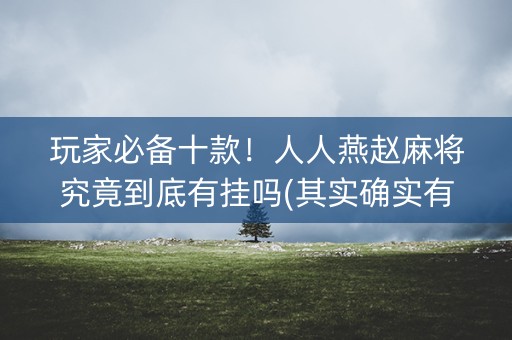 玩家必备十款！人人燕赵麻将究竟到底有挂吗(其实确实有挂)