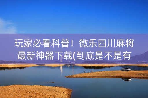 玩家必看科普！微乐四川麻将最新神器下载(到底是不是有挂)