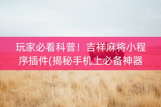 玩家必看科普！吉祥麻将小程序插件(揭秘手机上必备神器)