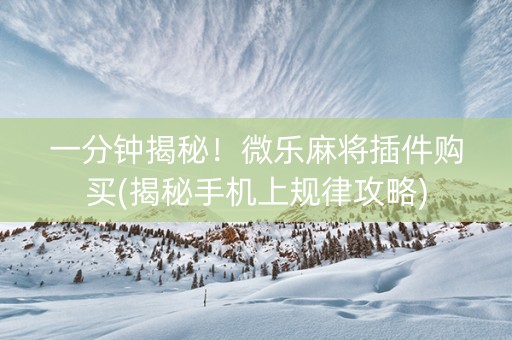 一分钟揭秘！微乐麻将插件购买(揭秘手机上规律攻略)