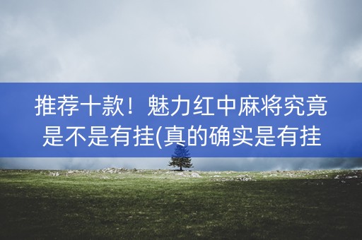 推荐十款！魅力红中麻将究竟是不是有挂(真的确实是有挂)
