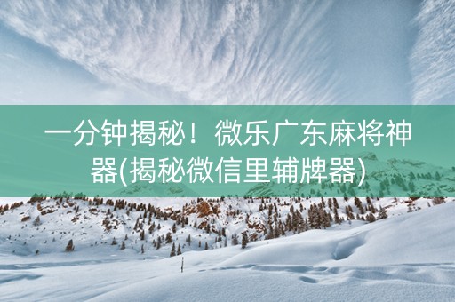 一分钟揭秘！微乐广东麻将神器(揭秘微信里辅牌器)