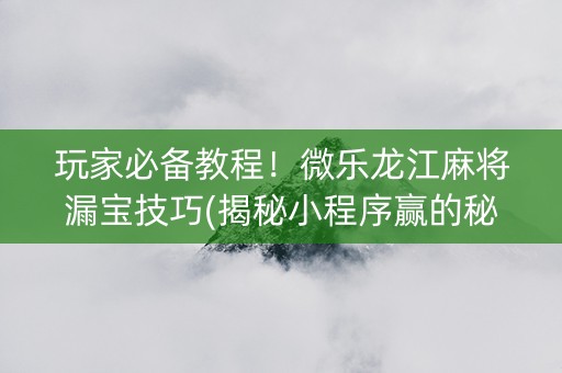 玩家必备教程！微乐龙江麻将漏宝技巧(揭秘小程序赢的秘诀)