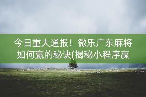 今日重大通报！微乐广东麻将如何赢的秘诀(揭秘小程序赢的秘诀)