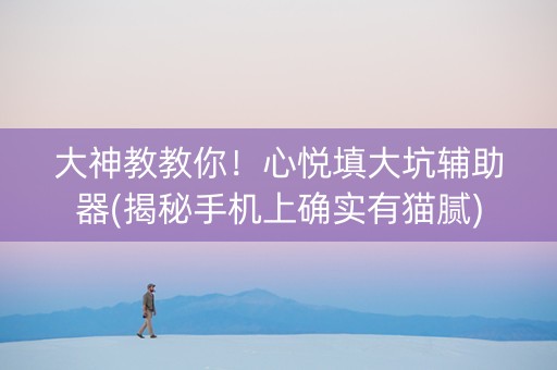大神教教你！心悦填大坑辅助器(揭秘手机上确实有猫腻)