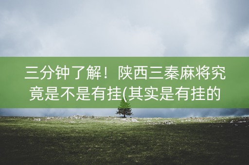 三分钟了解！陕西三秦麻将究竟是不是有挂(其实是有挂的)