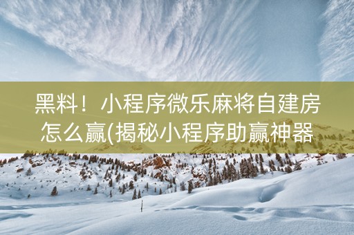 黑料！小程序微乐麻将自建房怎么赢(揭秘小程序助赢神器)