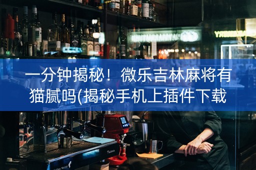 一分钟揭秘！微乐吉林麻将有猫腻吗(揭秘手机上插件下载)