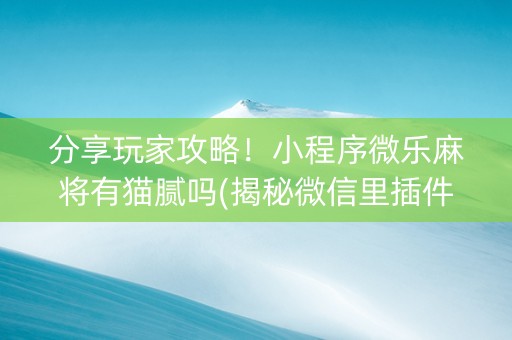 分享玩家攻略！小程序微乐麻将有猫腻吗(揭秘微信里插件下载)