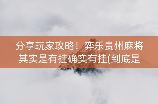 分享玩家攻略！弈乐贵州麻将其实是有挂确实有挂(到底是不是有挂)
