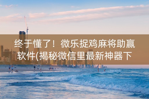 终于懂了！微乐捉鸡麻将助赢软件(揭秘微信里最新神器下载)