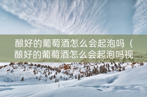 酿好的葡萄酒怎么会起泡吗（酿好的葡萄酒怎么会起泡吗视频）