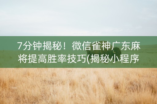 7分钟揭秘！微信雀神广东麻将提高胜率技巧(揭秘小程序输赢规律)