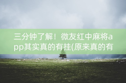 三分钟了解！微友红中麻将app其实真的有挂(原来真的有挂)