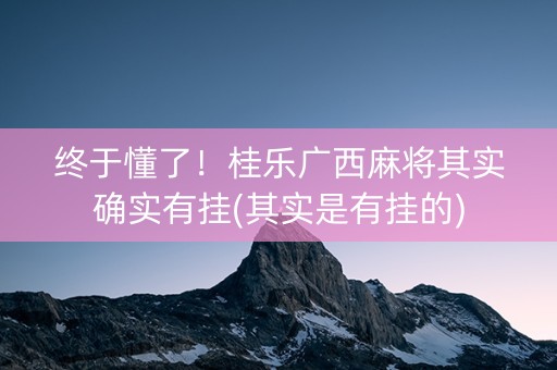 终于懂了！桂乐广西麻将其实确实有挂(其实是有挂的)