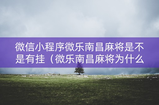微信小程序微乐南昌麻将是不是有挂（微乐南昌麻将为什么人家一直赢）