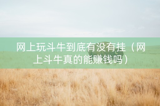 网上玩斗牛到底有没有挂（网上斗牛真的能赚钱吗）