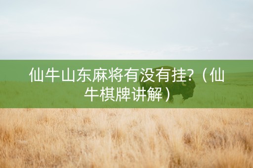 仙牛山东麻将有没有挂?（仙牛棋牌讲解）