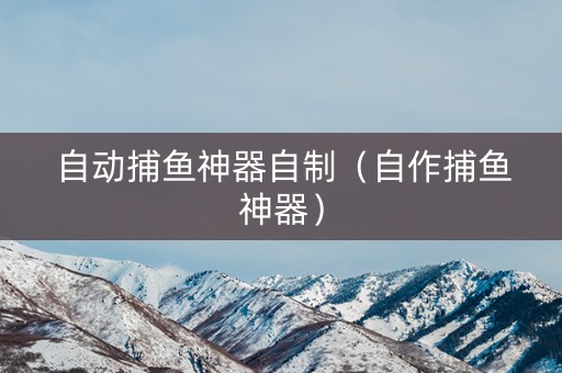 自动捕鱼神器自制（自作捕鱼神器）
