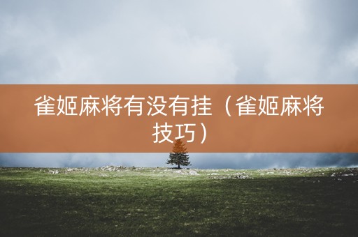 雀姬麻将有没有挂（雀姬麻将技巧）