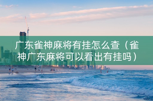 广东雀神麻将有挂怎么查（雀神广东麻将可以看出有挂吗）