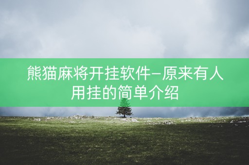 熊猫麻将开挂软件—原来有人用挂的简单介绍