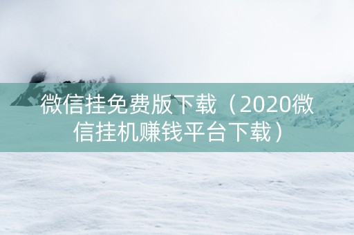 微信挂免费版下载（2020微信挂机赚钱平台下载）
