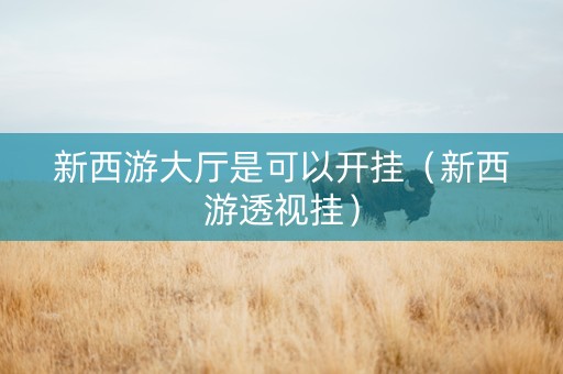 新西游大厅是可以开挂（新西游透视挂）