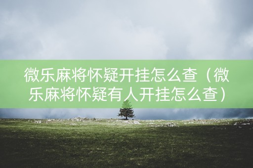 微乐麻将怀疑开挂怎么查（微乐麻将怀疑有人开挂怎么查）
